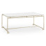 Silver Iron Rectangular Coffee Table with An Antique Glass Top