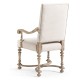 Sagehill Upholstered Arm Chair