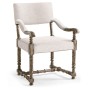 Caldera Upholstered Arm Chair