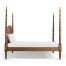 Tamarisk Poster King Bed