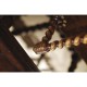 Tudor Style Medium Antique Chestnut Leather Hall Seat Arm Chair