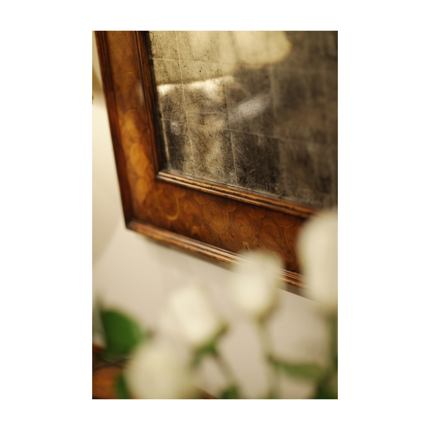 Oyster Mirror (Églomisé)