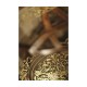 Square oyster coffee table glass top (52