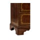 Late Regency Mahogany Glazed Display Cabinet