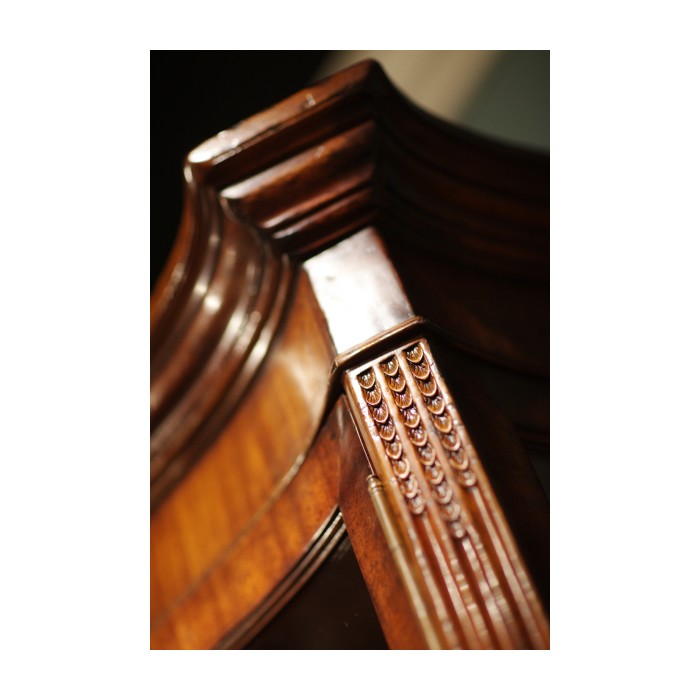 Serpentine Architrave Mahogany China Cabinet