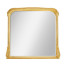 Full length art nouveau gilded mirror without 