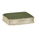 Green Faux Shagreen Silvered Box