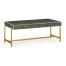 Anthracite Faux Shagreen Coffee Table with Gilded Base