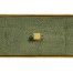 Green Faux Shagreen Coffee Table with Gilded Base