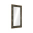 Faux Macassar Ebony & Anthracite Shagreen Floor Mirror
