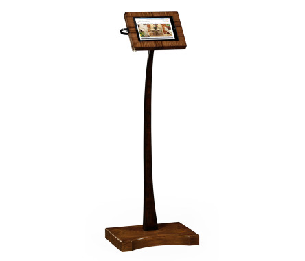 IPad display stand
