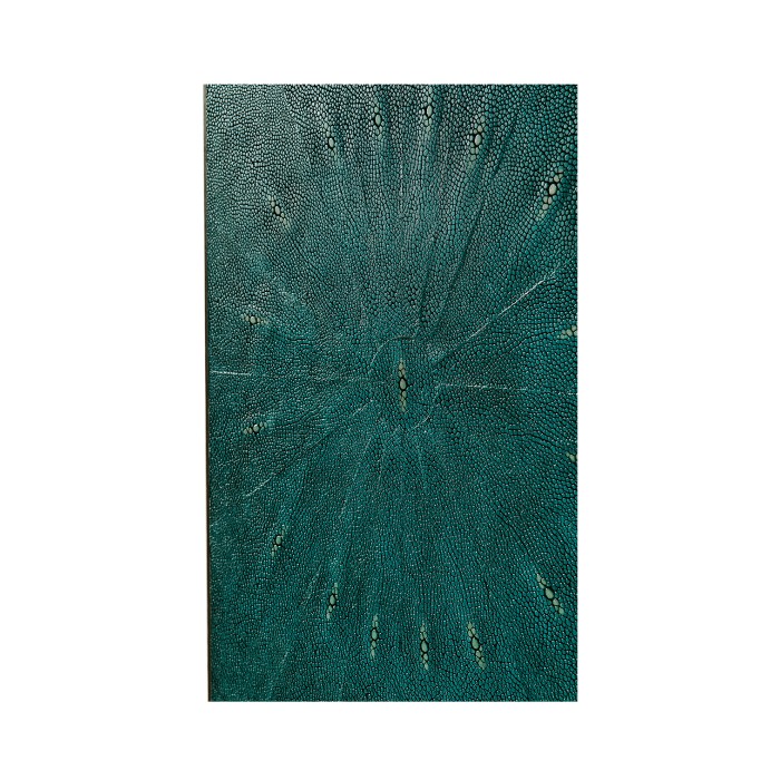 Teal Faux Shagreen and Brass Legged Étagère