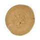 Oak & Oyster Side Table