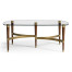 Hyedua & Glass Coffee Table