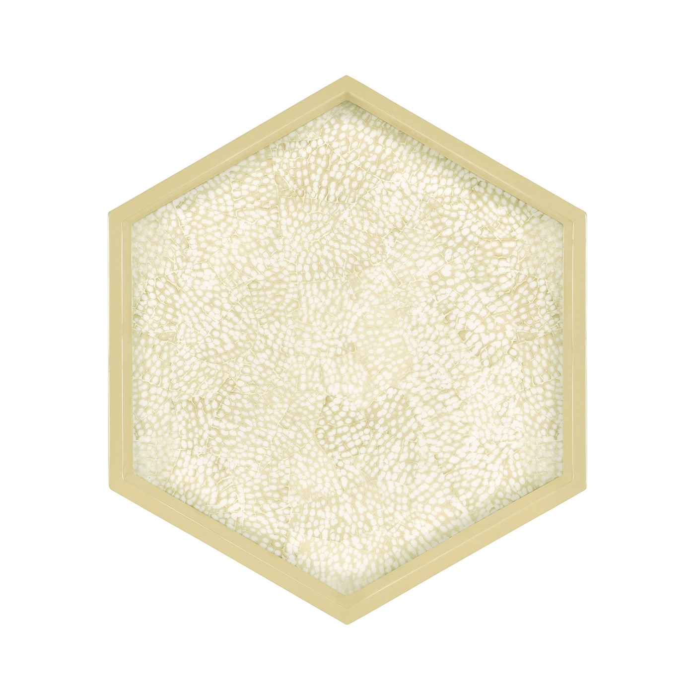 Hexagonal Eggshell Tray