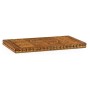 Floral Marquetry Backgammon Board
