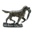 Dark Bronze Golden Retriever Dog