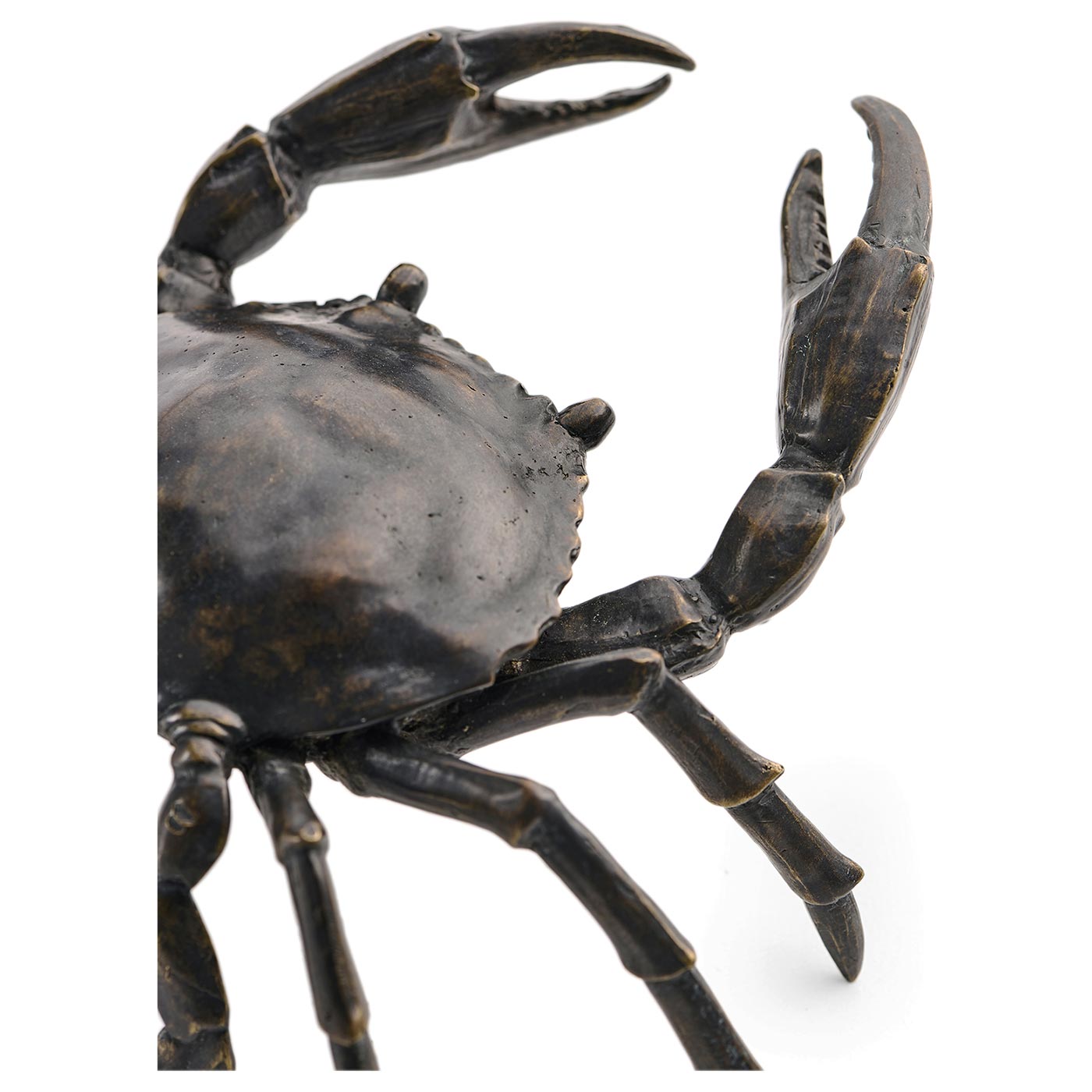 Dark Bronze Crab