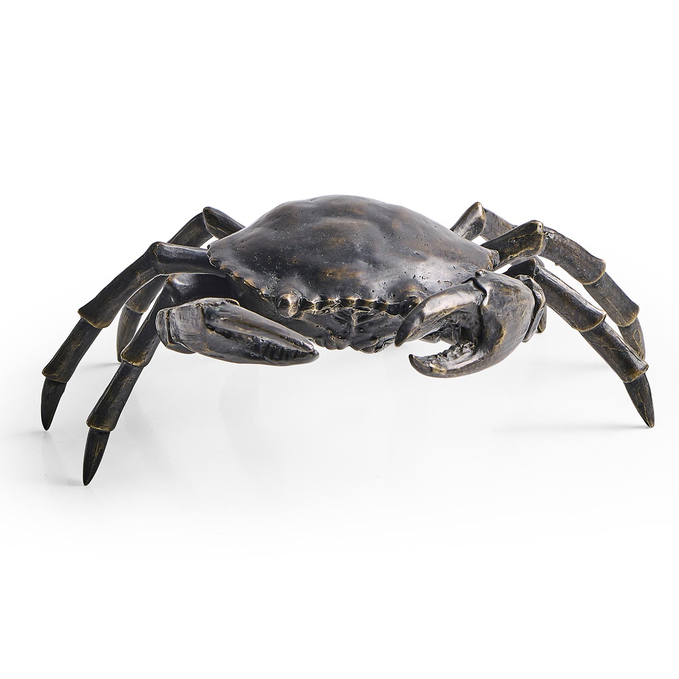 Dark Bronze Crab