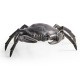 Dark Bronze Crab