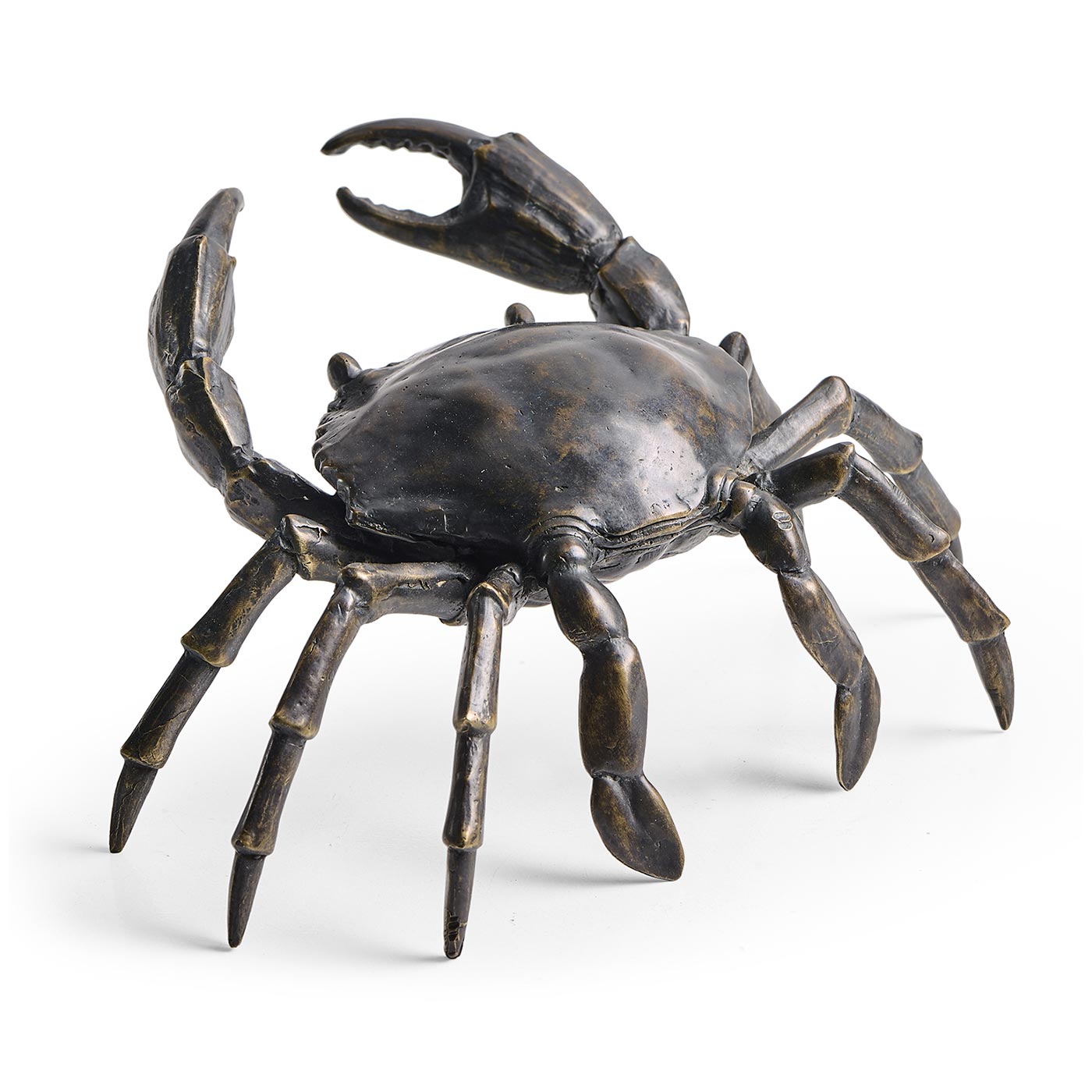 Dark Bronze Crab