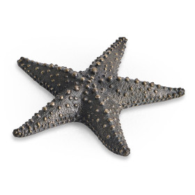 Dark Bronze Starfish