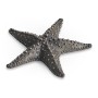 Dark Bronze Starfish
