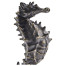 Antique Dark Bronze Seashorse