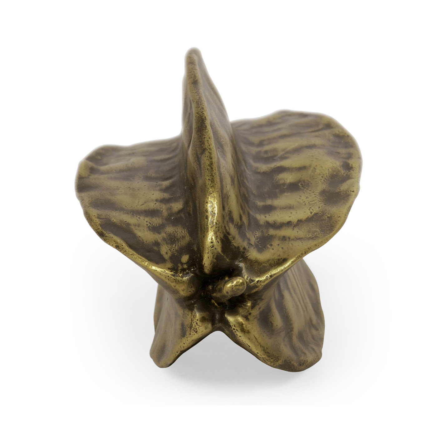 Antique Brass Star Fruit