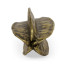 Antique Brass Star Fruit