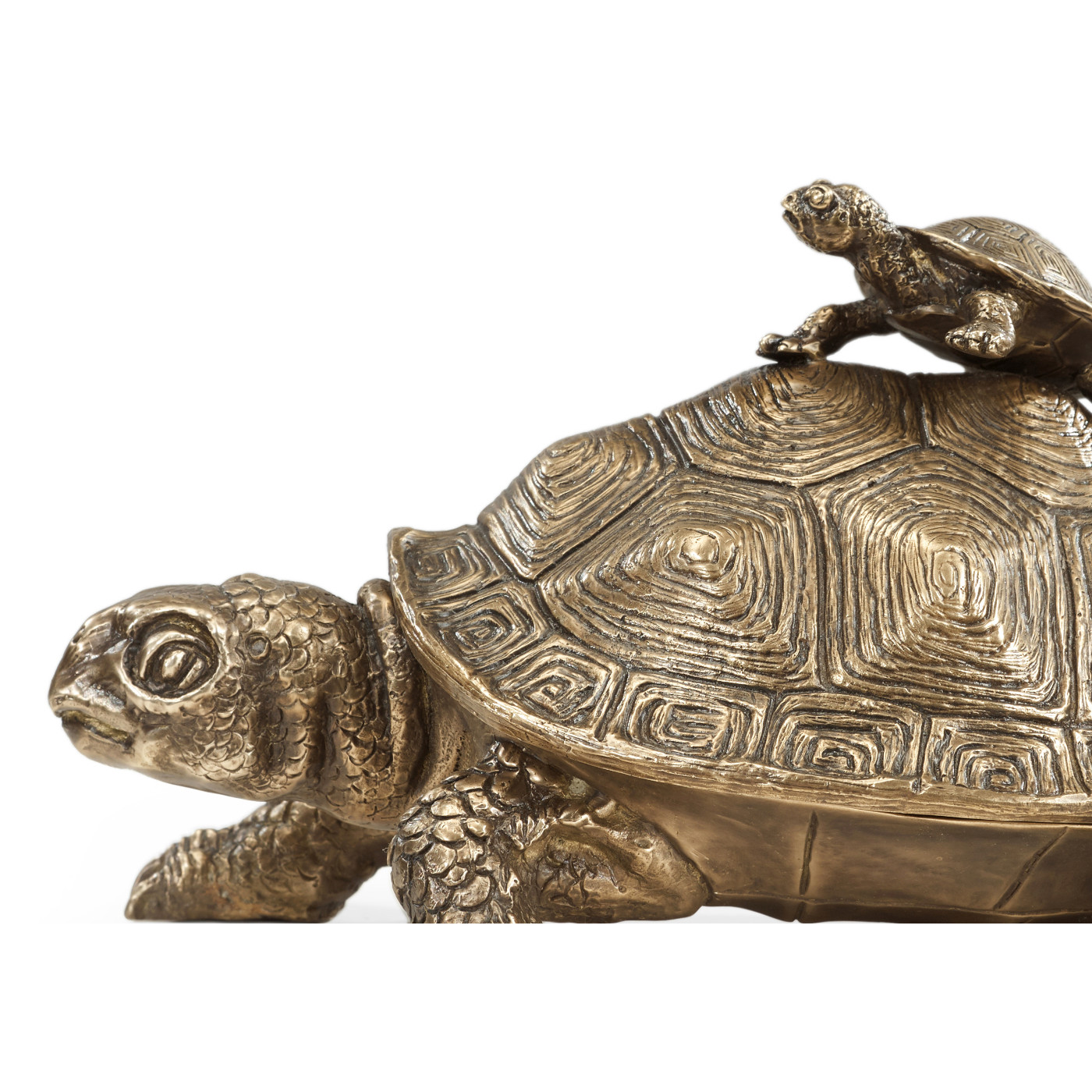 Anitque Light Brown Brass Turtle Container