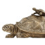 Anitque Light Brown Brass Turtle Container