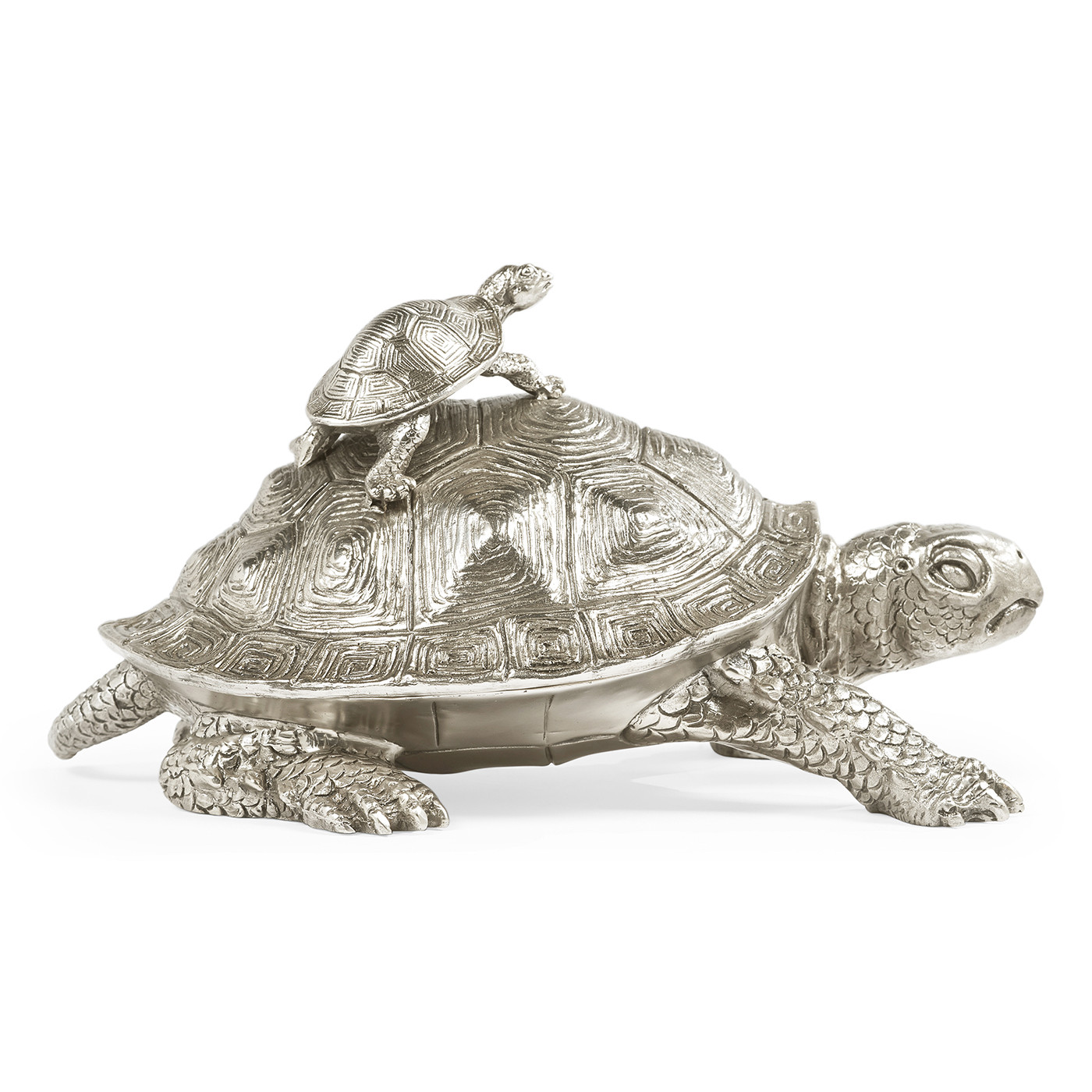 White Stainless Steel Turtle Container