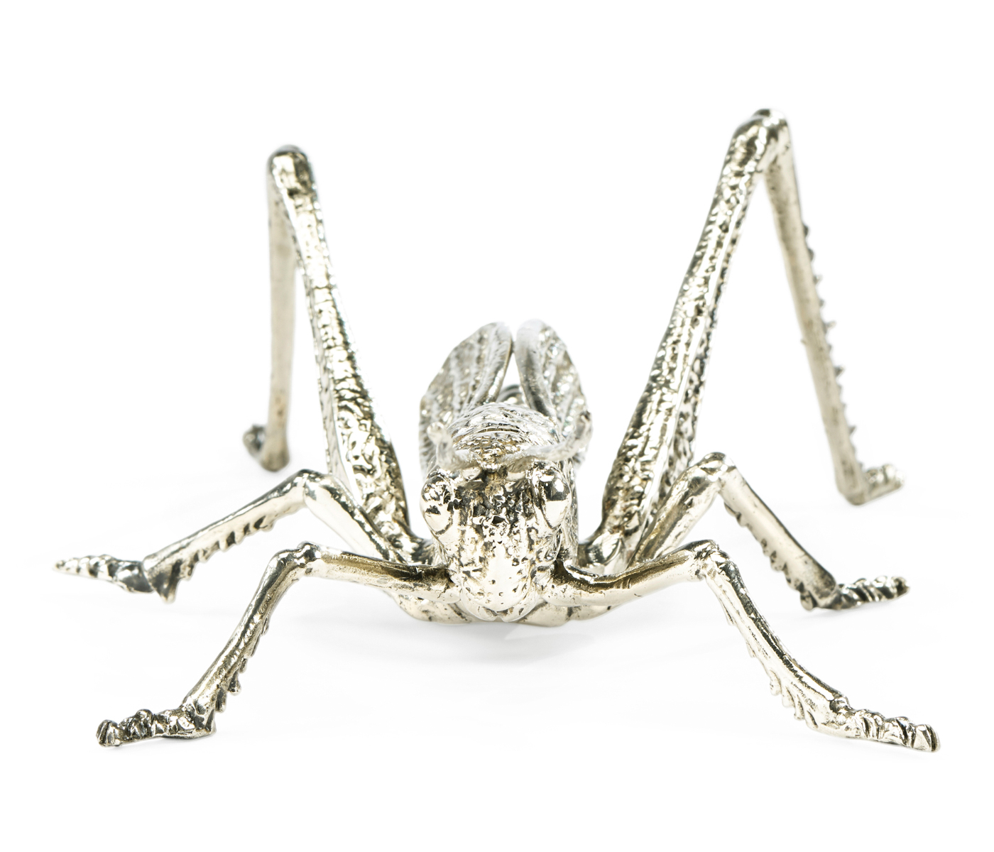 White Brass Grasshopper