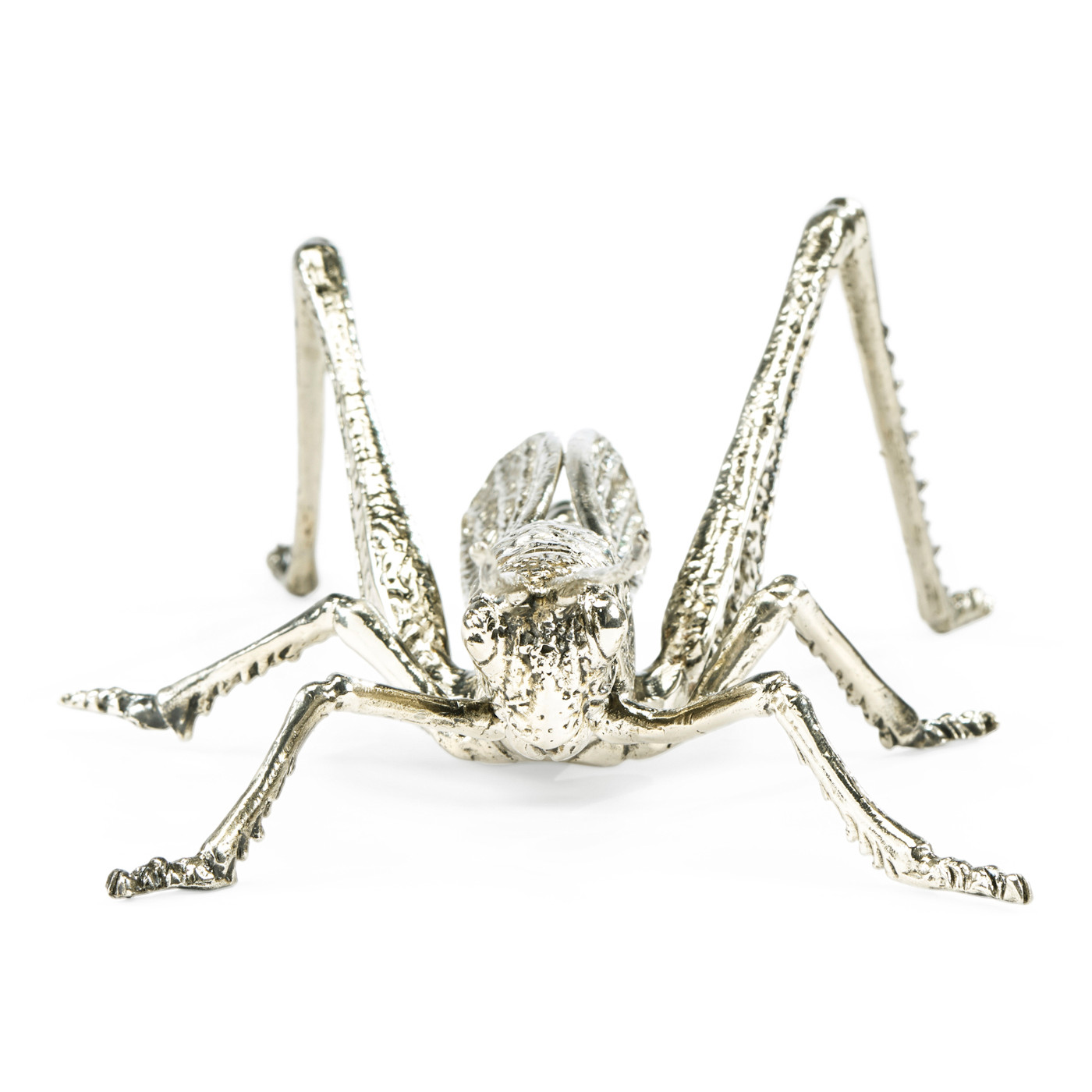 White Brass Grasshopper