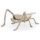 White Brass Grasshopper
