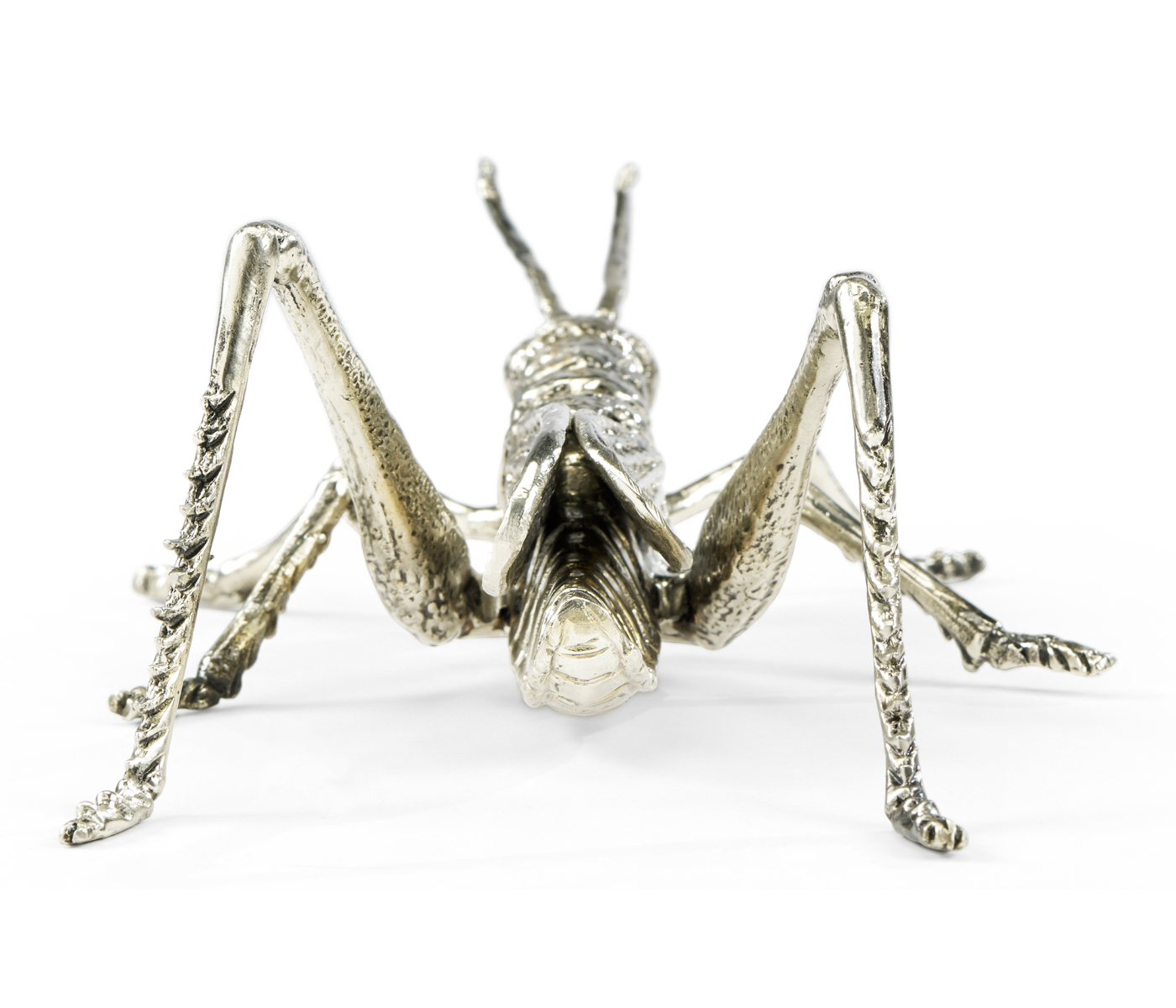 White Brass Grasshopper