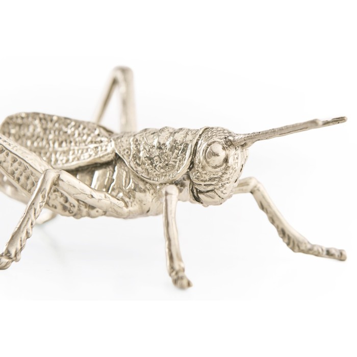White Brass Grasshopper