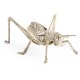 White Brass Grasshopper