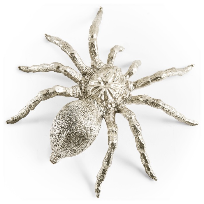 White Brass Turantula