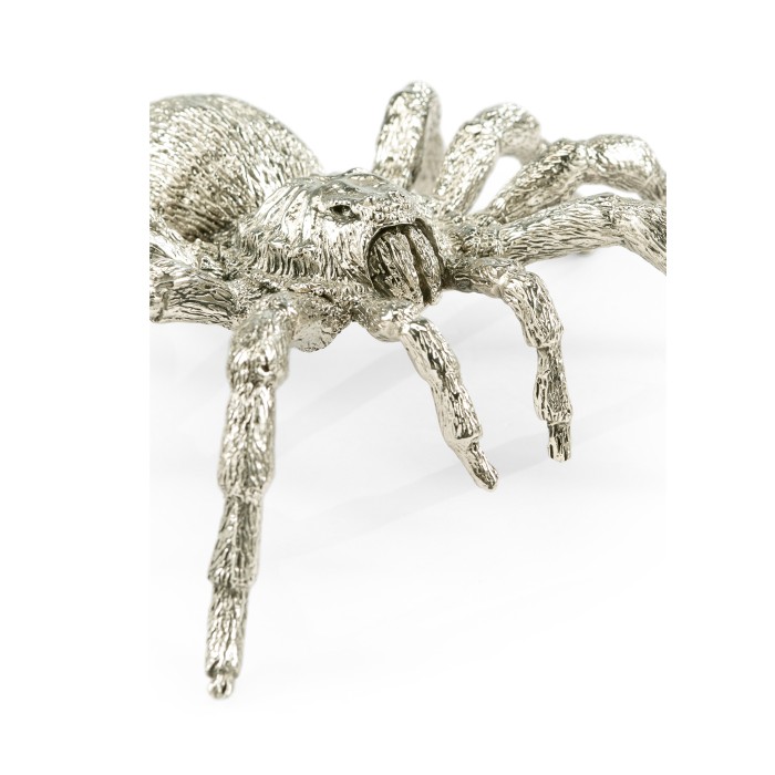 White Brass Turantula