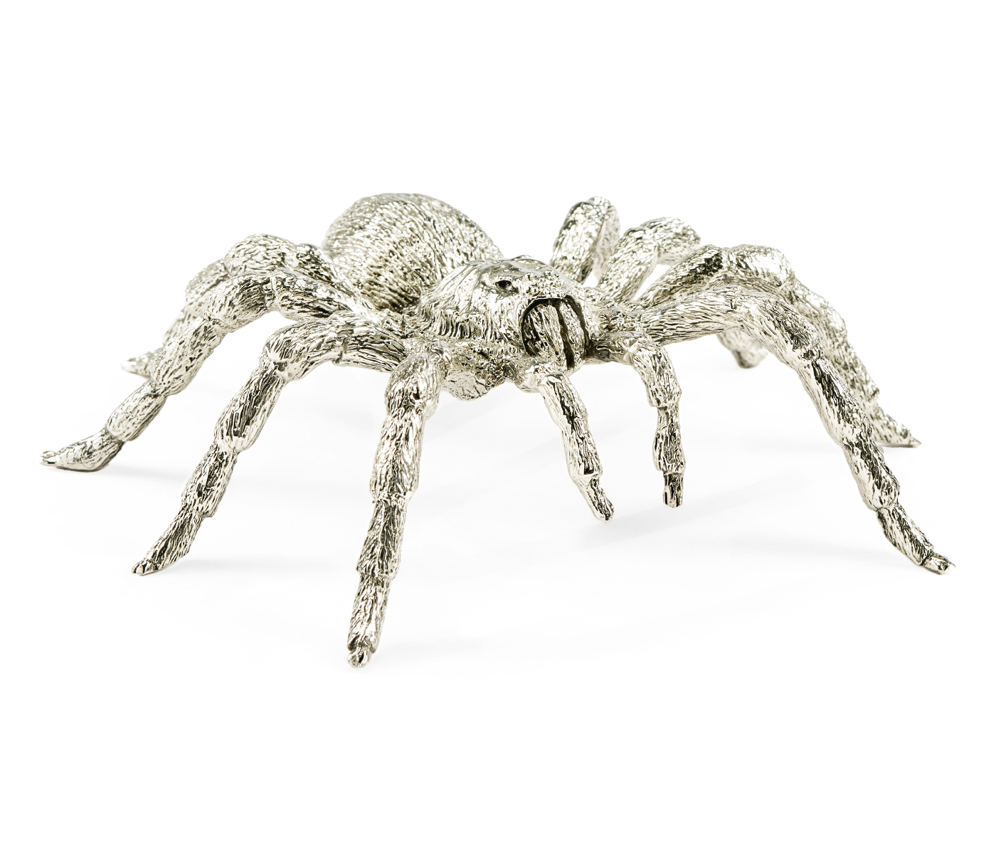 White Brass Turantula