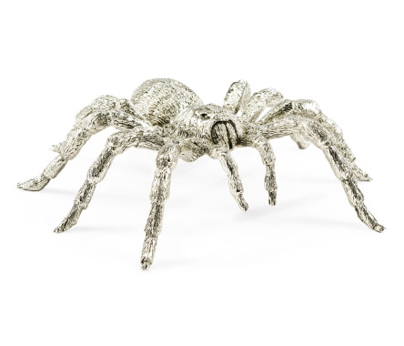 White Brass Turantula