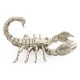 White Brass Scorpion