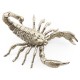 White Brass Scorpion
