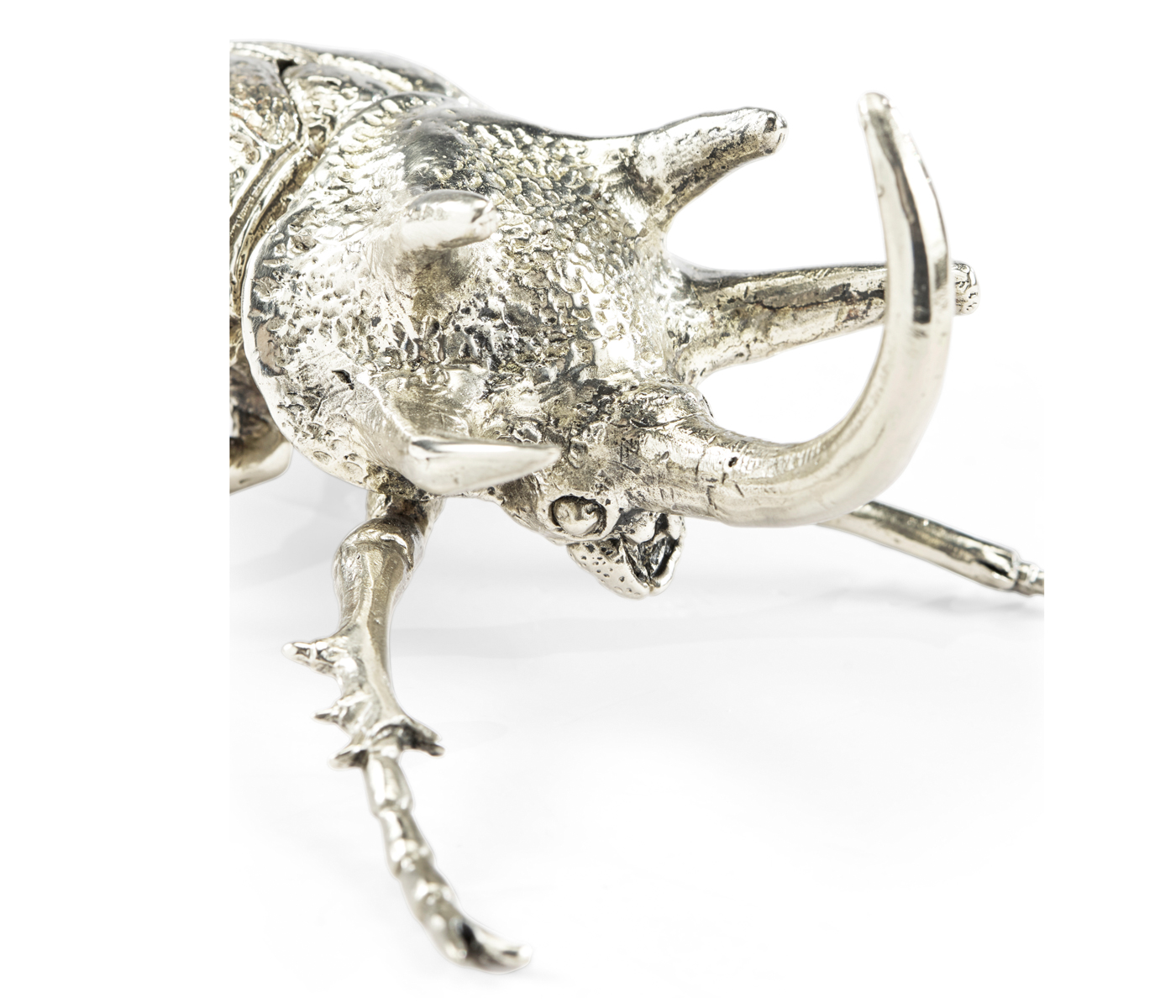 White Brass Five-Horned Rhinoceros Beetle