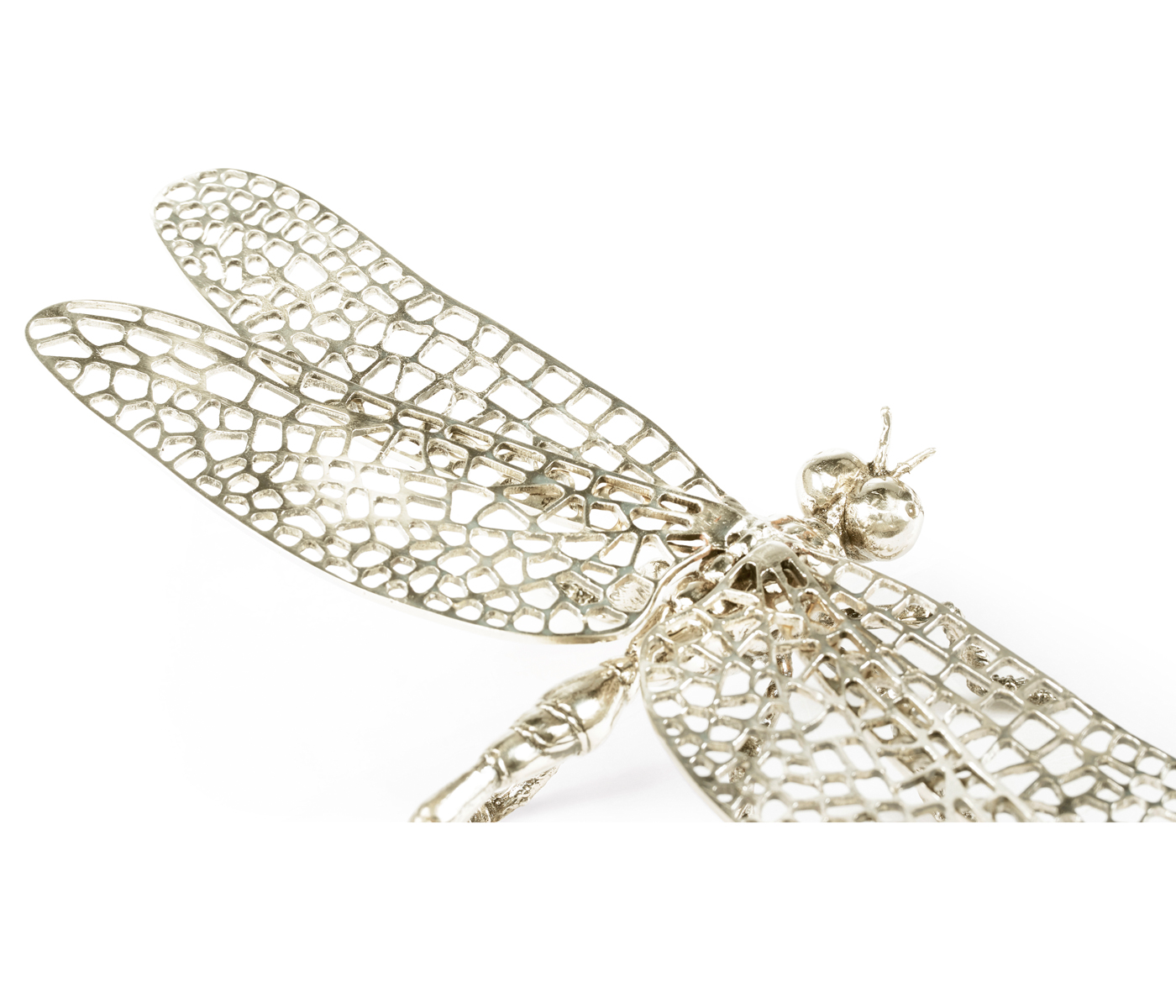 White Brass Dragonfly