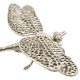 White Brass Dragonfly