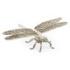 White Brass Dragonfly