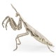 White Brass Praying Mantis